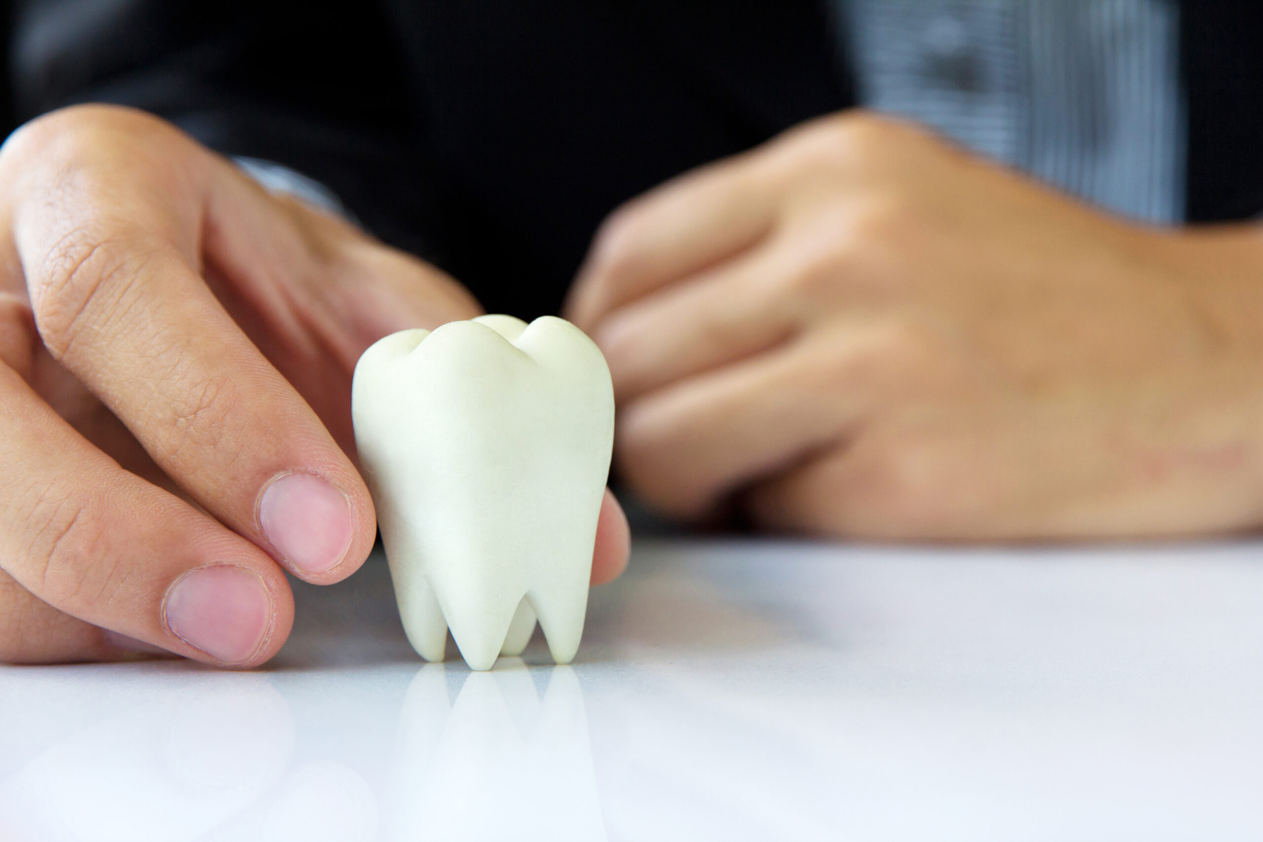 Close-up of dentist holding a model molar tooth, illustrating tooth replacement options